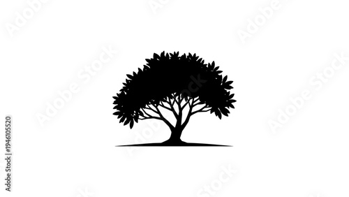 Silhouette of a majestic tree on a white background
