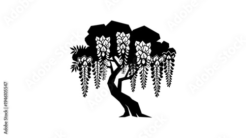 Silhouette of a wisteria tree with cascading flowers in black and white