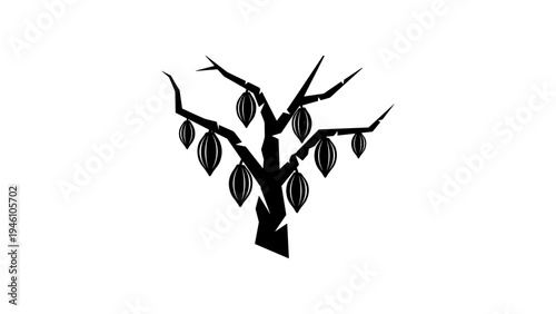 Silhouette of cacao tree with pods on white background