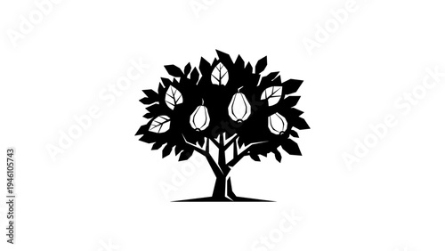 Silhouette of a cacao tree with pods and leaves