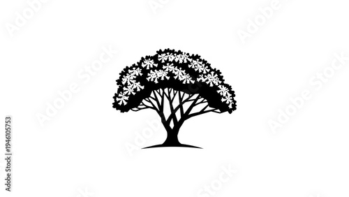 Silhouette of a tree with blossoming flowers on white background