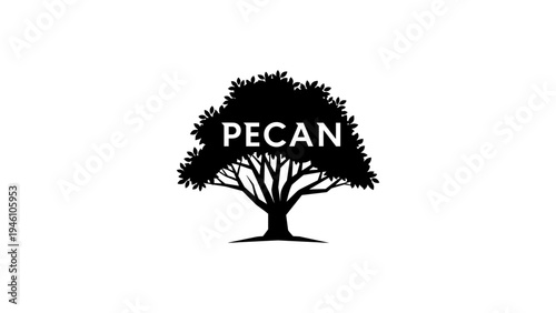 Silhouette pecan tree logo design with bold typography and minimalist style
