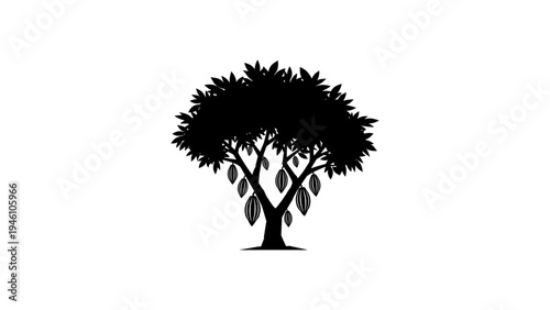 Cacao tree silhouette with pods isolated on white background