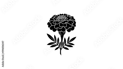 Bold silhouette of a marigold flower with detailed leaves on white background