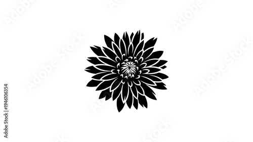 Intricate black silhouette of a flower with detailed petals