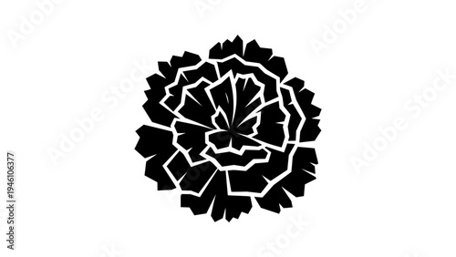 Bold black silhouette of carnation flower on white background