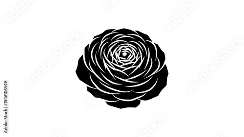 Black and white rose flower design with spiral petals