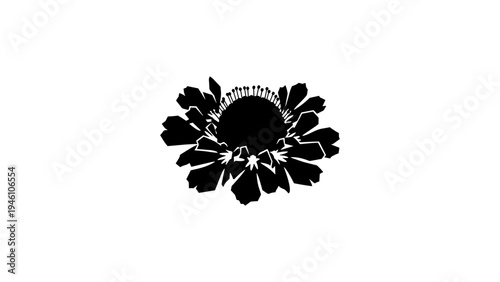 Minimalistic silhouette of a black flower with detailed petals on white background