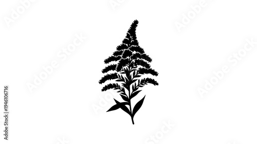 Black silhouette of amaranth plant isolated on white background