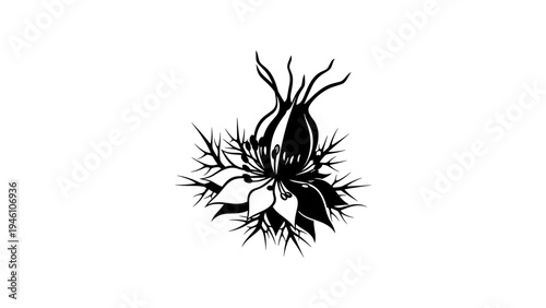 Black and white floral silhouette with thorns and petals