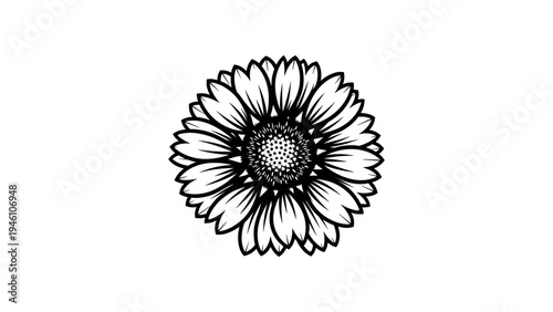 Hand-drawn sunflower outline on white background
