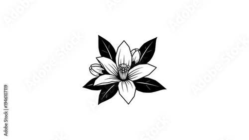 Elegant black and white floral design with leaves and buds