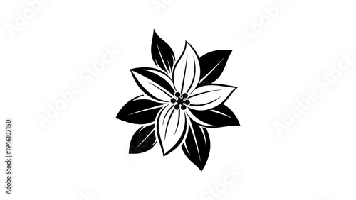 Elegant black and white floral design with bold petals and leaves