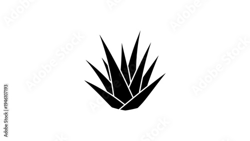 Minimalist black and white agave plant design for modern decor