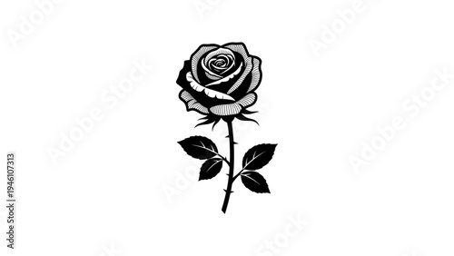 Elegant black and white rose silhouette with detailed petals and leaves