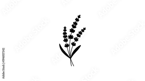 Elegant lavender silhouette design with minimalist floral style