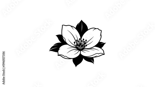 Elegant black and white flower silhouette art for nature-themed designs