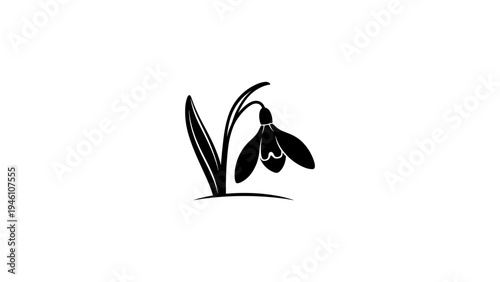 Elegant snowdrop silhouette design on white background
