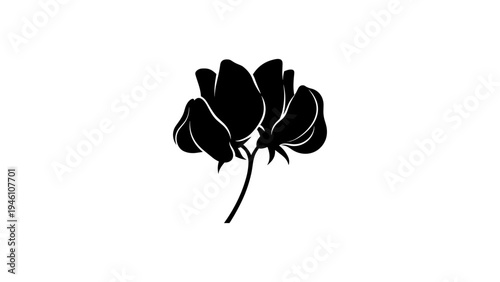 Elegant black silhouette of three sweet pea flowers on white background