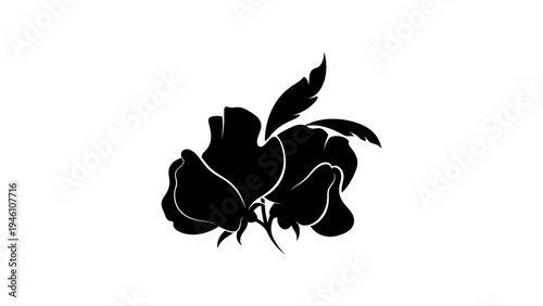 Elegant black silhouette of sweet pea flower on white background