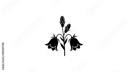 Elegant silhouette of flower blooming with graceful black petals