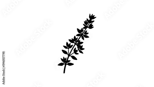 Elegant botanical herb silhouette design with floral element