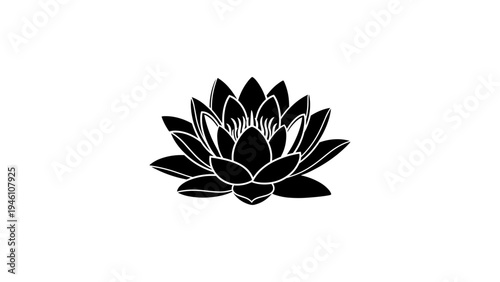 Elegant black silhouette of lotus flower on white background