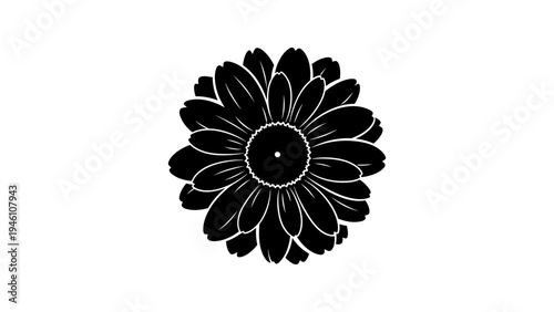 Black silhouette of a detailed flower blossom on white background
