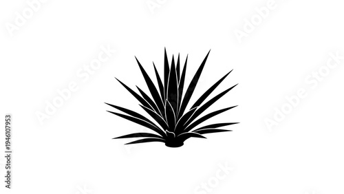 Stylized black silhouette of agave plant on white