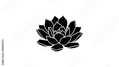 Elegant black silhouette of succulent plant on white background