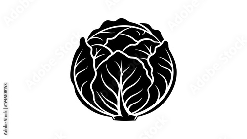 Silhouette cabbage design: bold monochrome vegetable icon