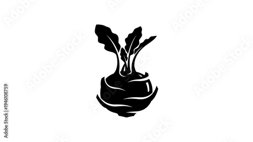 Silhouette of kohlrabi with leaves on white background