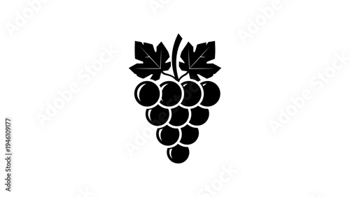 Silhouette grape cluster with leaves on white background for wine label design