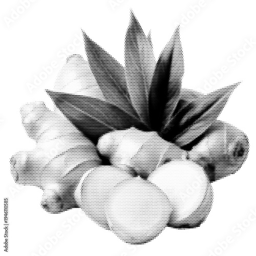 Ginger root vintage y2k halftone art, organic spice rhizome stipple brutalist retro vector png with transparent background, bold 2000s aesthetic photocopy effect tattoo
