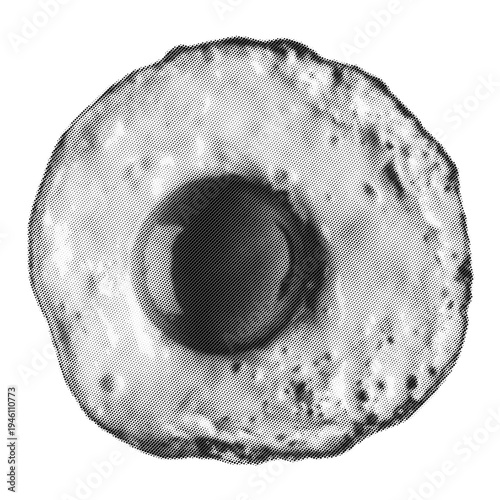 Fried egg vintage y2k halftone art, sunny side up egg with runny yolk stipple brutalist retro vector png with transparent background, bold 2000s aesthetic photocopy effect tattoo