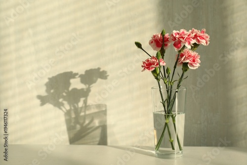 Beautiful carnation flowers in vase on light table indoors. Space for text