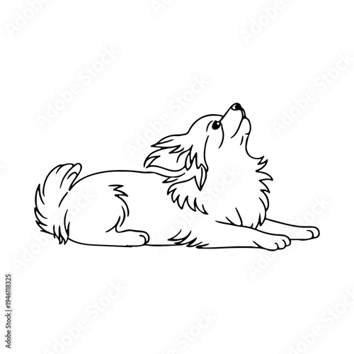 Charming dog stretching happily while lying on its belly, enjoying the moment in a sunny outdoor setting