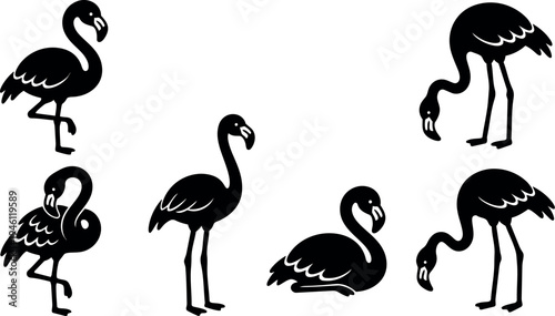 Silhouette vector set of six flamingos standing sitting and bending neck black bird shapes on white background