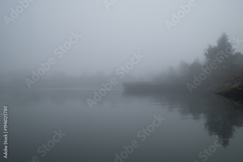 Fotografia foggy morning on the river