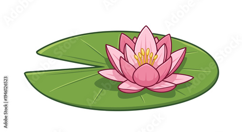 Pink Water Lily Vector Illustration, Flat Design, Nature, Pond, Botanical, Graphic