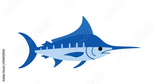 Blue Marlin Vector Illustration, Flat Design, Marine Life, Ocean Creature, Sport Fishing Image