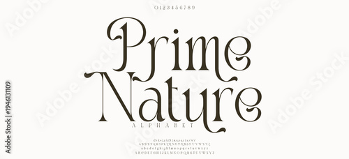 Prime Number Elegant alphabet letters font and number. Classic Copper Lettering Minimal Fashion Designs. Typography fonts regular uppercase and lowercase. vector illustration