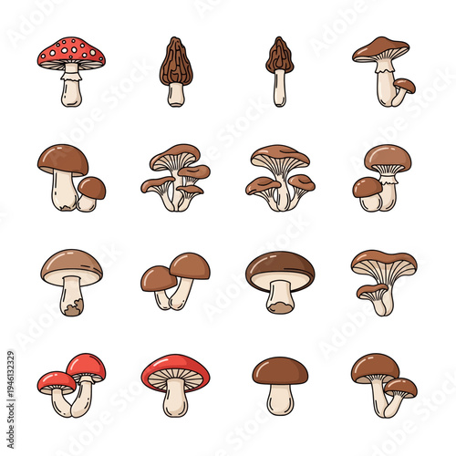 Large Collection of Various Edible and Poisonous Wild Mushrooms Vector Illustration Icons Set Isolated on White Background