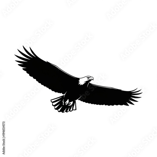 A black silhouette of an eagle in flight with outstretched wings and feathers visible