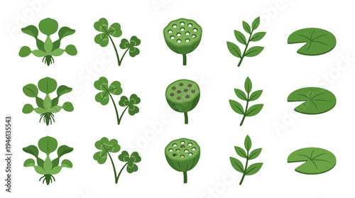 Various Green Flat Botanical Elements Illustration Set Clover Lotus Pod Water Lily Pad.