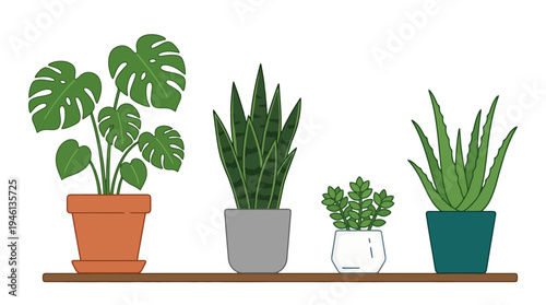 Colorful illustrated houseplant collection on a wooden shelf featuring Monstera snake plant succulents and aloe.