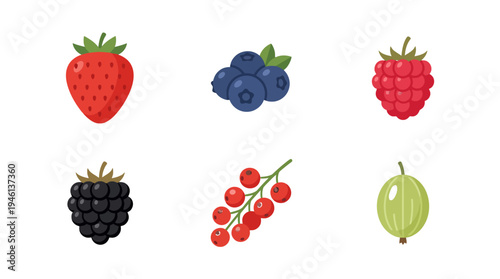 Sweet Berries Flat Design Vector Set Strawberry Blueberry Raspberry Blackberry Redcurrant Gooseberry.