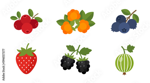 Six distinct flat design berry illustrations red cranberries orange cloudberries blue blueberries red strawberry black blackberries green gooseberry.