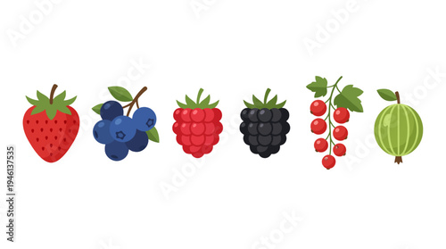Colorful flat design berry collection strawberry blueberries raspberry blackberry red currants gooseberry.
