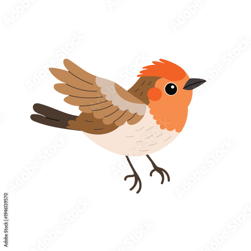 Cute robin bird with open wings in simple flat style. Small forest bird character illustration isolated on white background.